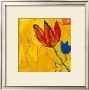 Flash Flowers Iv by G. Gerard Limited Edition Print