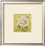 Pink And White Flower by Alejandro Mancini Limited Edition Print