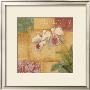 Serenity Orchid by Elizabeth King Brownd Limited Edition Print
