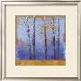 Birch Trees I by Cheryl Martin Limited Edition Pricing Art Print