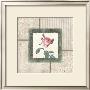 Rosa I by Carol Robinson Limited Edition Pricing Art Print