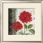 Etude En Rouge I by Pamela Gladding Limited Edition Print