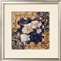 Javanese Orchid I by Carolyn Holman Limited Edition Print