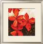 Red Passion I by Robert Charon Limited Edition Pricing Art Print