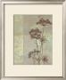 Silver Foliage I by Ella K. Limited Edition Print