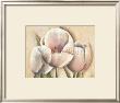Tulipes Pastel by Caroline Wenig Limited Edition Pricing Art Print