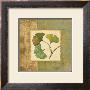 Ginko I by Daphne Brissonnet Limited Edition Print