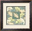 Oak Leaf With Ginkgo Medley by Nancy Slocum Limited Edition Pricing Art Print