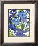 Periwinkle Border Beauty by Martha Collins Limited Edition Print