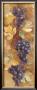 Autumn Grapes Ii by Albena Hristova Limited Edition Pricing Art Print