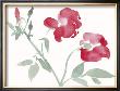 Roses by Aurore De La Morinerie Limited Edition Pricing Art Print