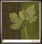 Maple by Paula Scaletta Limited Edition Print