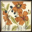 Botanical Composition Iv by Jennifer Goldberger Limited Edition Print