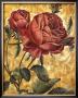 Romantic Roses I by Richard Henson Limited Edition Pricing Art Print