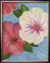 Hibiscus Fantasia by Paris Gerrard Limited Edition Pricing Art Print