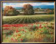 Fields Of Provence Ii by T. C. Chiu Limited Edition Pricing Art Print
