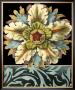 Panelled Rosette On Black Ii by Jennifer Goldberger Limited Edition Print