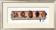 Collection Of Shells Ii by Peggy Jo Ackley Limited Edition Print