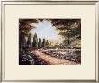 View Of The Valley Ii by Ruane Manning Limited Edition Print