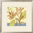 Tropical Sophistication Iii by Jennifer Goldberger Limited Edition Print