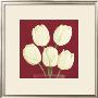 White Tulips by Julio Sierra Limited Edition Pricing Art Print