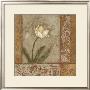 Morning Foral I by Judi Bagnato Limited Edition Pricing Art Print