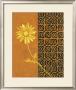 Golden Flower I by Edward Donovan Limited Edition Print