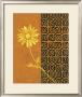 Golden Flower I by Edward Donovan Limited Edition Pricing Art Print