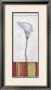 Floral Tapestry I by E. Miller Limited Edition Print