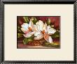 Magnolias In Basket by Peggy Thatch Sibley Limited Edition Print