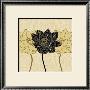 Golden Cluster Ii by Linda Wood Limited Edition Print
