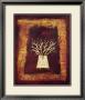 Tree by Patricia Maiocco Limited Edition Pricing Art Print