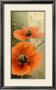 Orange Poppies I by Patty Q. Limited Edition Print