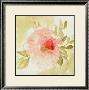Stardust Peony by Judy Shelby Limited Edition Print