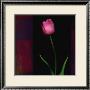 Red Tulip Ii by Rick Filler Limited Edition Pricing Art Print