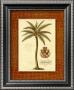 Coconut Palm by Georg Dionysius Ehret Limited Edition Print