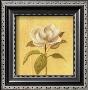 White Flower by Lucciano Simone Limited Edition Print