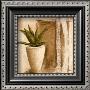Aloe by Veronique Didier-Laurent Limited Edition Pricing Art Print