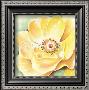 Wild Yellow Roses by Arkadiusz Warminski Limited Edition Pricing Art Print