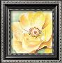 Wild Yellow Roses by Arkadiusz Warminski Limited Edition Print