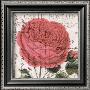 Carte Postale Rose Iv by Paula Scaletta Limited Edition Pricing Art Print