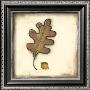 Fall Color I by Alicia Ludwig Limited Edition Print