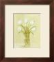 White Tulips In Square Vase by Cuca Garcia Limited Edition Print