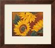 Sunflowers Ii by Vivien Rhyan Limited Edition Print