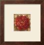 Sacred Rose I by Richard Lane Limited Edition Pricing Art Print