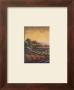 Field Of Harvest I by Al Price Limited Edition Print