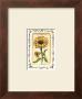 Mini Flower Viii by Charlene Winter Olson Limited Edition Pricing Art Print