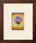 Hydrangea Violeta by Shari White Limited Edition Print