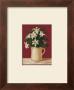 White Flowers In Pitcher by Lucciano Simone Limited Edition Print