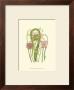 Summer Garden Vi by Anne Pratt Limited Edition Pricing Art Print
